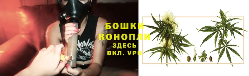 где найти   Асбест  Канабис OG Kush 